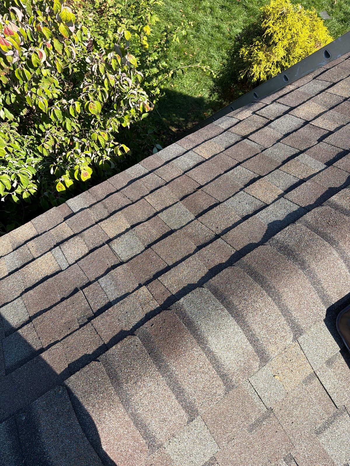 Close-up of asphalt roof shingles inspected for hail damage